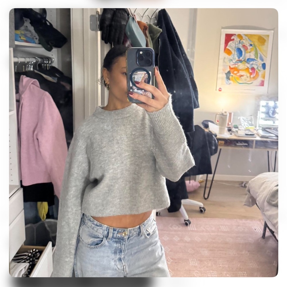 Zara Light Gray Cropped Knit Top